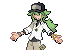 N