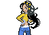 Arcade Star Dahlia