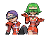 Celosia & Bryony