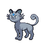 persian