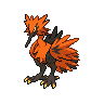 zapdos